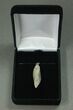 Agatized Dinosaur Bone (Gembone) Twist Pendant #54075-3